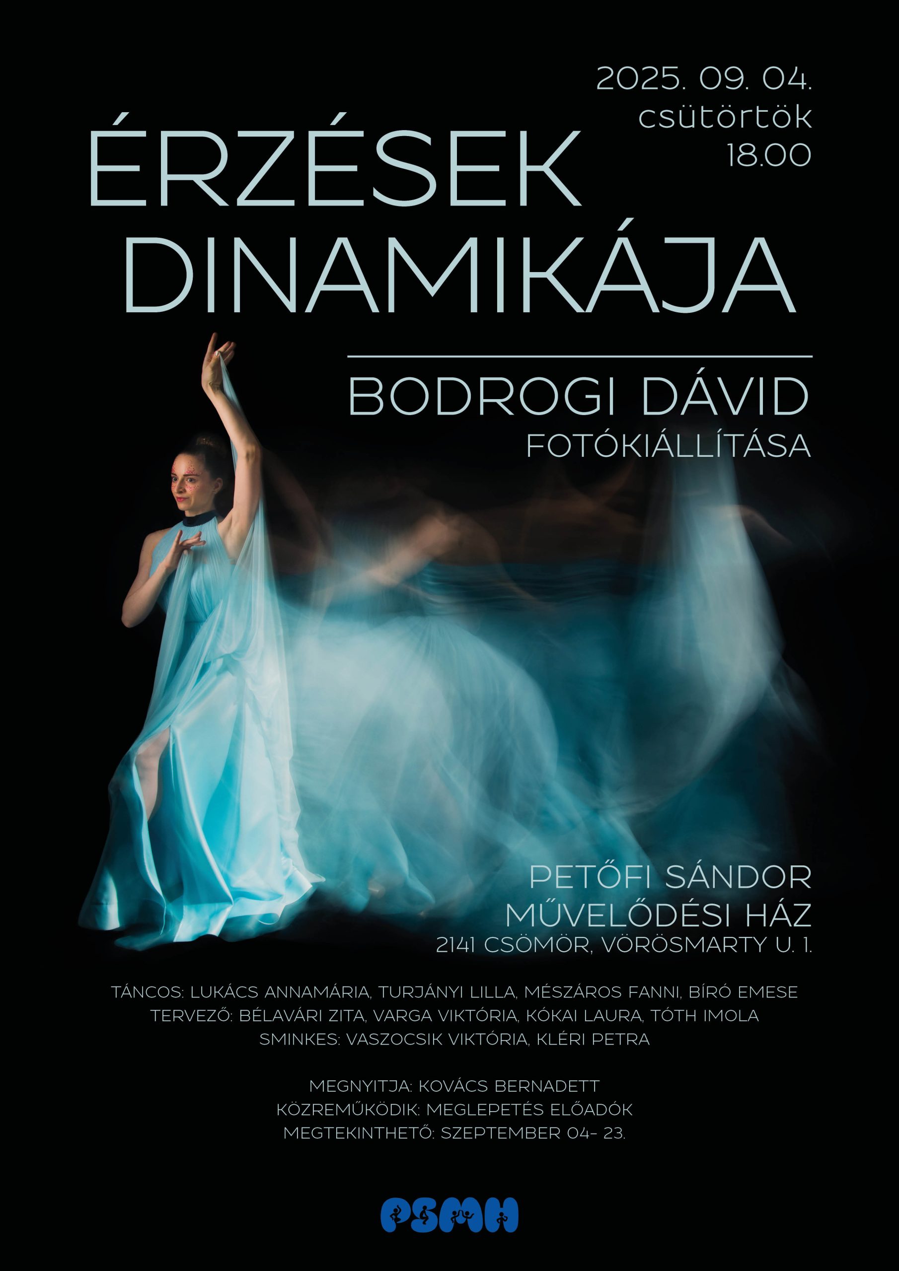 Bodrogi kiallitas_A3_09_04